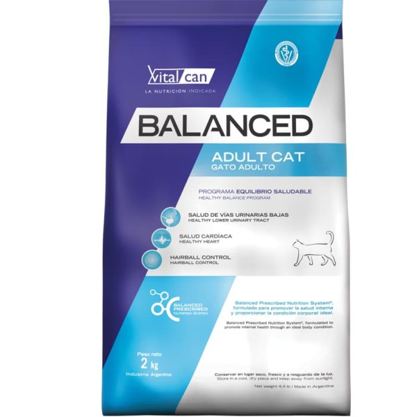 Balanced gato adulto