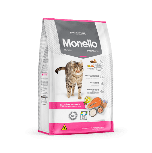 Monello Gato adulto