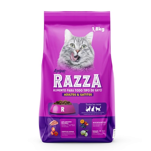 Razza Gatos y Gatitos
